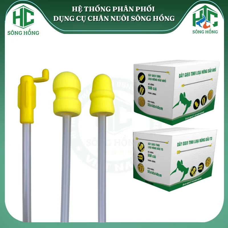 Que phối tinh heo nông hàng nhập khẩu