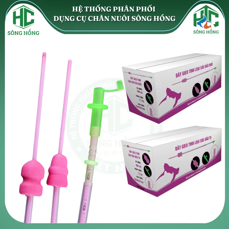 Que phối tinh heo sâu hàng nhập khẩu