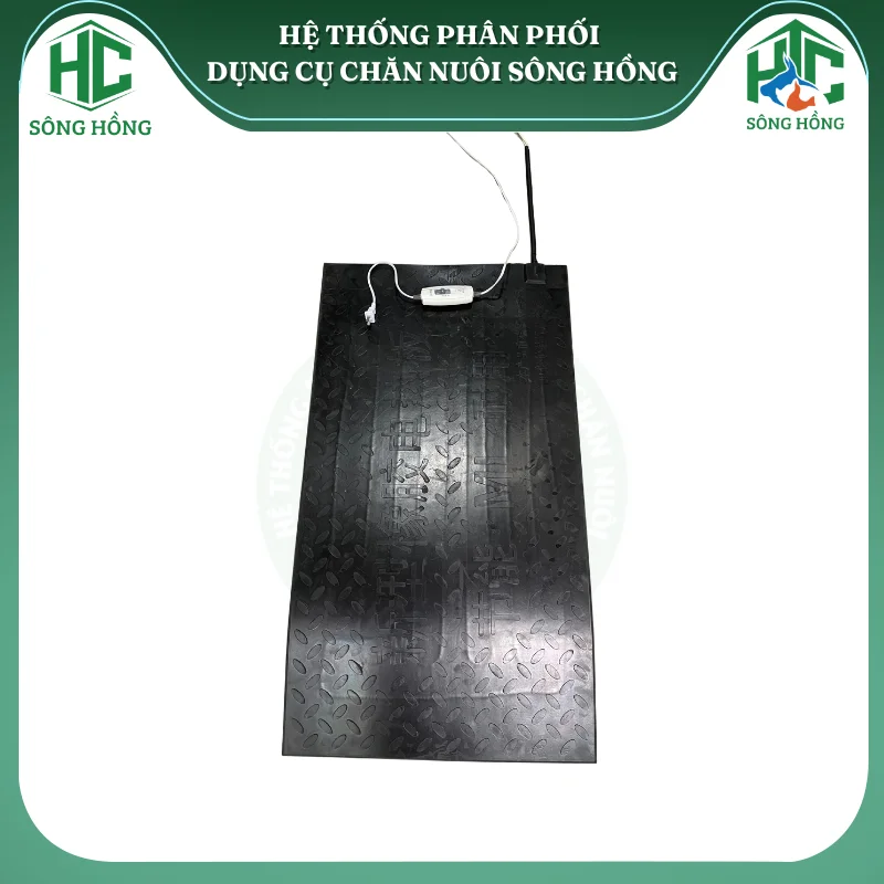 Thảm sưởi úm heo con bằng điện