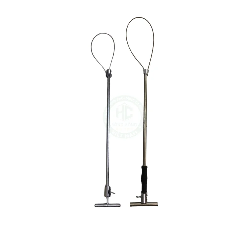 Gậy cố định heo